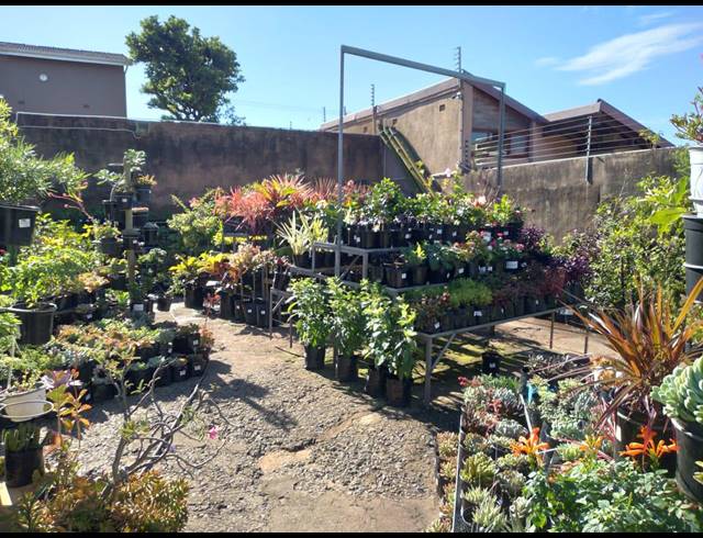894M² BUSINESS FOR SALE IN BLUFF